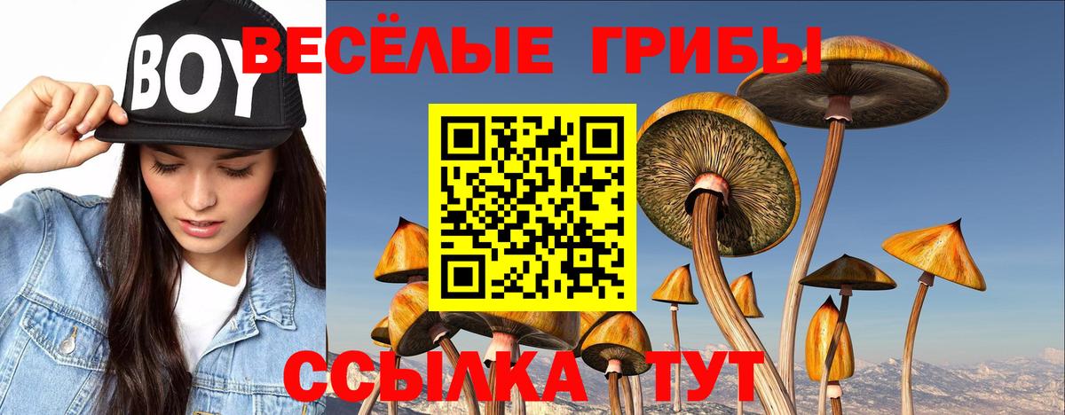 Псилоцибиновые грибы MAGIC MUSHROOMS  Галлюциногенные грибы Psilocybe  Вход с VPN  Переславль-Залесский 